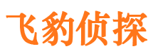 叶县市婚外情调查